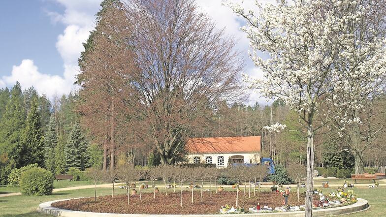 Der Friedhof in Weißkeißel ist letzte Ruhestätte und öffentlicher Park. Beim der Umgestaltung hatten die Bürger Mitspracherecht, so wie es auch in Haide sein soll.