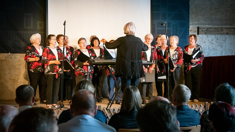 Der Gröditzer Frauenchor begeisterte bei der Festveranstaltung in der Scheune des Dreiseitenhofs mit seinem Auftritt.