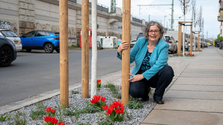 Zehn neue Säuleneichen (Hintergrund) wachsen jetzt auf der Riesaer Straße. Umweltbürgermeisterin Eva Jähnigen (Grüne) zeigt die bepflanzten Baumscheiben.