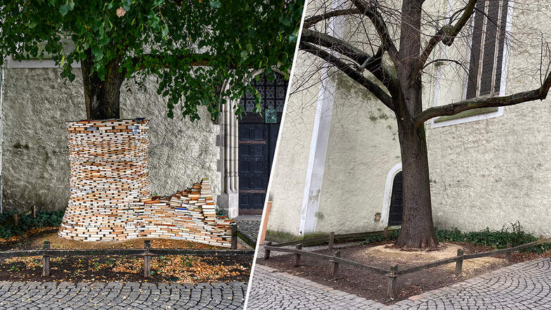 Dieser Bücherbaum stand ein halbes Jahr an der Görlitzer Dreifaltigkeitskirche.