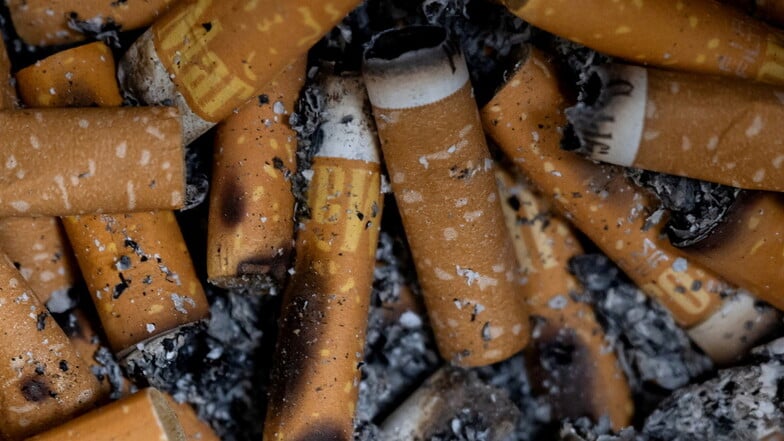 Dresden will auf die Probleme aufmerksam machen, die durch achtlos weggeworfene Zigarettenkippen entstehen. Mit jedem Stummel landet Plastikmüll auf der Straße, auf dem Gehweg, an der Haltestelle, vor Geschäften, auf den Elbwiesen oder im Park.