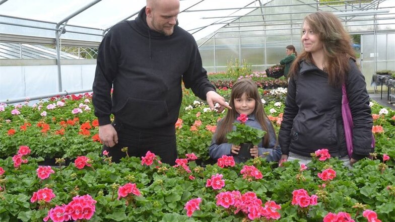 Babett Würfel freut sich mit Tochter Lia sowie ihrem Partner Sebastian Simmank über die Blumenpracht im Gartenbetrieb Gustav Halke in Niesky.