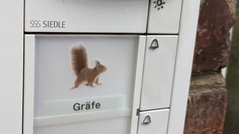 Pirna: Alarm für die Hörnchenretter