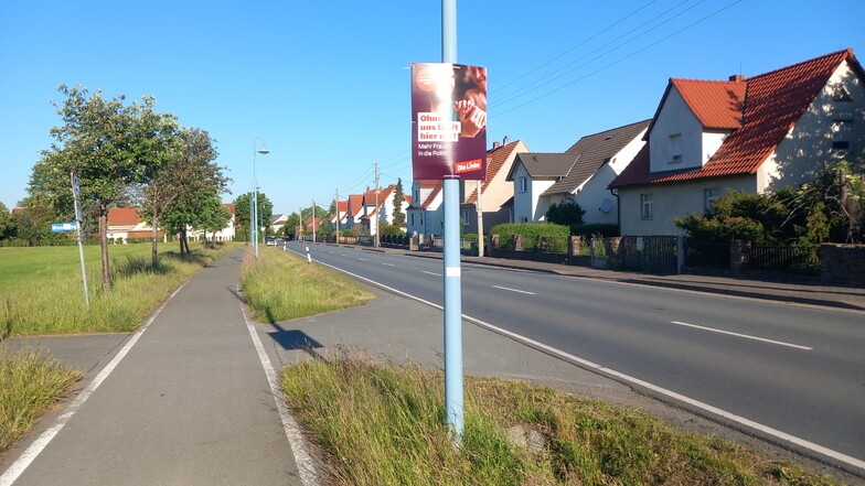 Die ersten Wahlplakate, so sie dieses von der Partei Die Linke, "verzieren" die Straßenlaternen an der B 98 in Glaubitz.