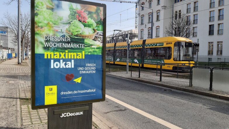 Über 250-mal hängt dieses Plakat seit Dienstag im Dresdner Stadtgebiet. Ein sinnvoller Aufruf?