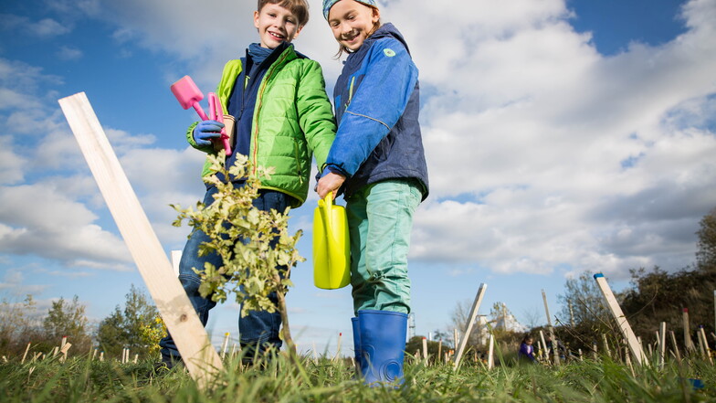 Die Schüler Oskar (8) und Emil (8) halfen bei einer Baumpflanzaktion auf dem Gelände der Stadtentwässerung.