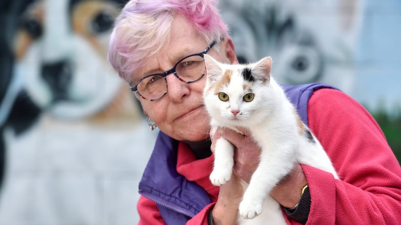 Über 30 Katzen werden zurzeit im Bischdorfer Tierheim versorgt. Manuela Dornfeld mit der sechs Monate alten Latze Laila, die auch ein neues Zuhause sucht.