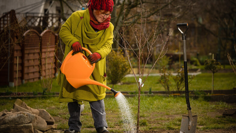 Gartenfachberatein Katrin Keiner hat selbst einen Kleingarten in Dresden. Werden Bäume im Frühjahr neu gesetzt, muss in den kommenden Wochen kräftig gewässert werden.