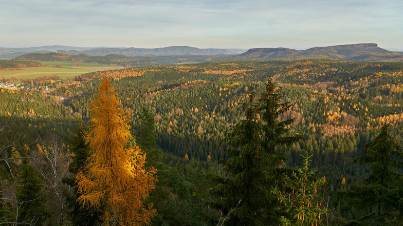 Lust auf atemberaubende Aussichten? Die Rundtour ab Cunnersdorf ist aktive Erholung für Wandergenießer. Das große geschlossene Waldgebiet ermöglicht eine weite, erholsame Tour und gelegentliche Aufstiege auf Felsen mit Eisenleitern. Die schönen Panorama-Aussichten reichen bis ins böhmische Gebirge. Klick auf's Bild um zur Route zu gelangen.