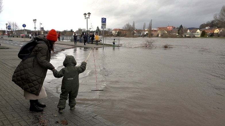 Steigendes Elbe-Hochwasser in Pirna: Immer mehr Straßen gesperrt