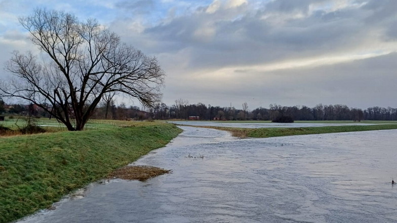 Am Zusammenfluss von Großer Röder und Röderneugraben in Großenhain sind inzwischen benachbarte Wiesen komplett überflutet.