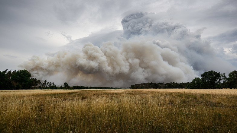 Die Schadenssumme bei dem Großbrand im Landschaftsschutzgebiet Gohrischheide und Elbniederterrasse Zeithain bei Gröditz wird auf 13,5 Millionen Euro geschätzt. Nun ermittelt auch die Polizei.