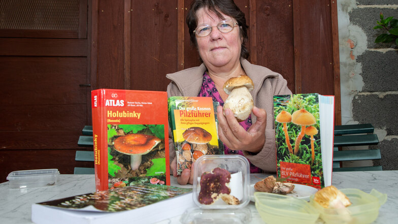 Heidrun Wawrok aus Mockethal ist seit 1989 Pilzberaterin. Derzeit kommt sie mit vollen Körben aus den Wäldern.