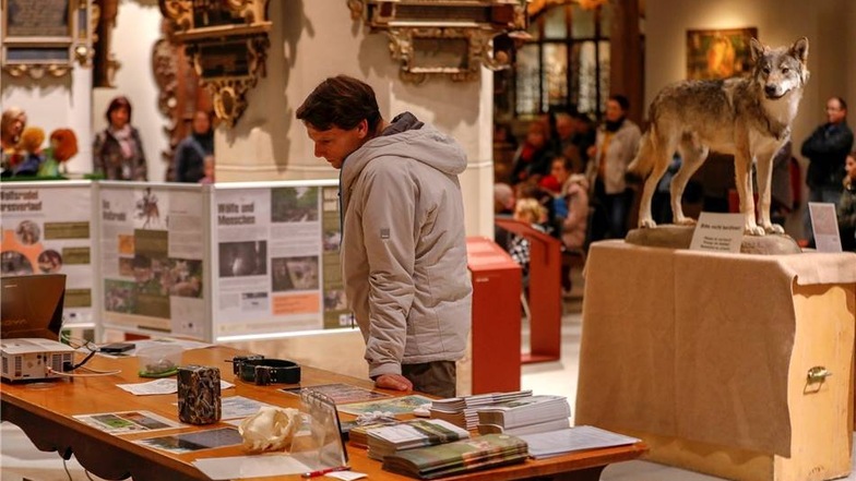 Auch die Ausstellung im Museum "Der Wolt ist da" konnte sich angeschaut werden.