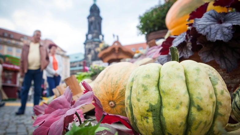 Ab Freitag findet auf dem Dresdner Altmarkt der Herbstmarkt statt.