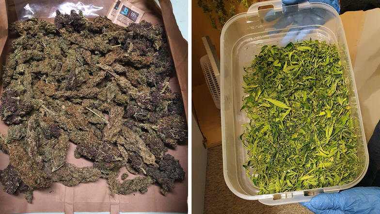 In einer Wohnung in Bautzen fanden Polizisten am Donnerstag jede Menge Betäubungsmittel. Darunter war über ein Kilogramm Marihuana, bestehend aus Dolden und Blättern.