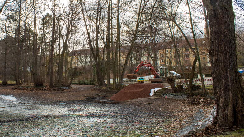 Im Kurpark Kreischa wurde vergangene Woche die Baustraße errichtet, damit der Teich entschlammt werden kann.