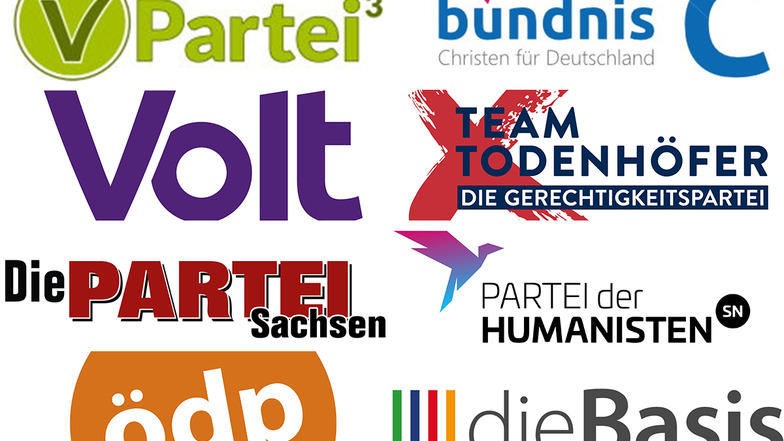 Auch die kleinen Parteien ringen in Sachsen um jede Stimme.