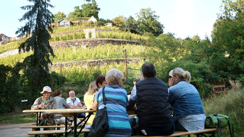 Rückkehr zu den Wurzeln der Meißner Weinfeste: Unterhalb der rechtselbischen Weinberge genießen Besucher in Ruhe einen Schoppen aus dem Spaargebirge.