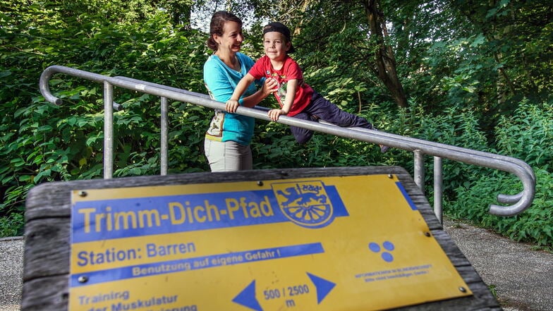 Schönheitskur für das Radeberger Birkenwäldchen: "Das war hier bisher mehr Urwald und Gestrüpp"