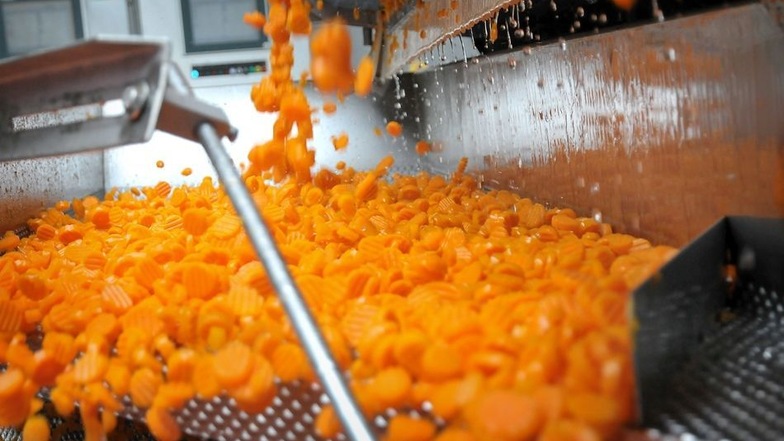 Karotten sind neben Erbsen das wichtigste Produkt bei Elbtal. 12500 Tonnen werden im Jahr verarbeitet. Neuerdings liefert die Firma auch in die USA.
