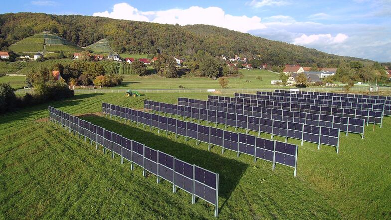 In Dresden-Pillnitz wurde Mitte Oktober eine Agri-Photovoltaik-Anlage installiert. Die erste in Sachsen.