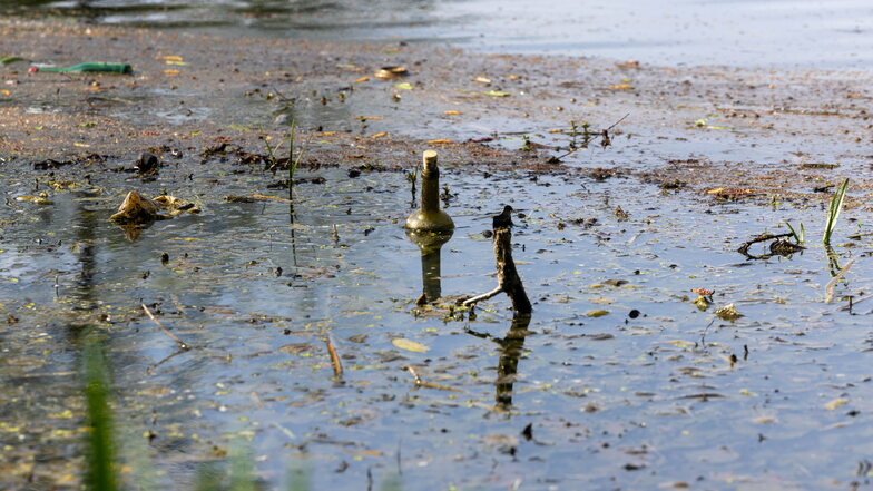 Die Luft schwimm ist raus: Eine Weinflasche im Teich nahe des Pavillons.