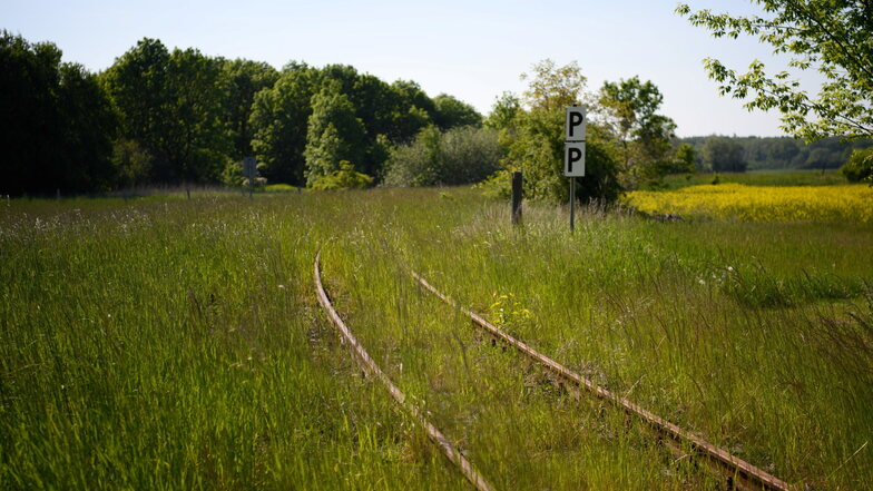 Vom Gras überwachsene Gleise einer früheren Regionalbahn der Strecke Pritzwalk - Suckow mit Haltepunkt Kuhbier.