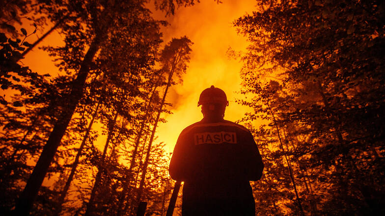 In den Wäldern stehen die Feuerwehrleute den Flammen gegenüber.