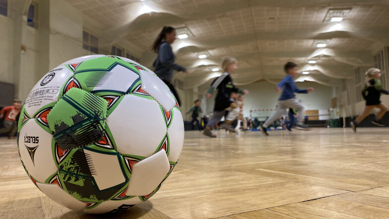 Beim Zwergenfußball werden bei den Seenlandkickern Kinder ab dem Alter von drei Jahren spielerisch mit dem Fußball in Kontakt gebracht.