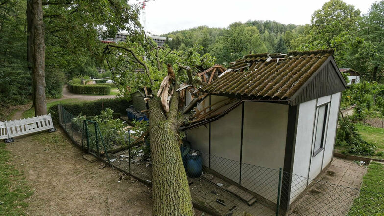In der Gartenanlage im Waldheimer Sauergras hat der Sturm Kirsten einen Baum auf ein Gartenhaus krachen lassen.
