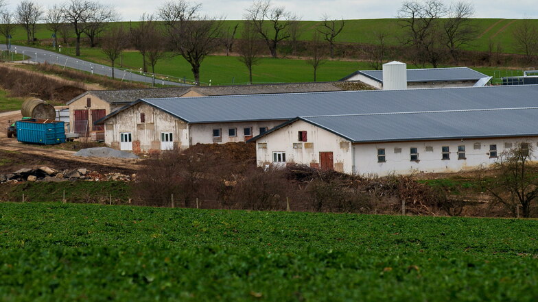 Der Ausbau der ehemaligen Schweinemastanlage in Langenwolmsdorf bei Stolpen sorgt weiter für Ärger.