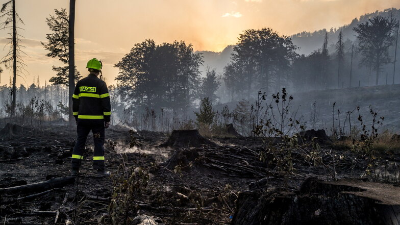 Ende Juli war in der Böhmischen Schweiz eine Waldbrandkatastrophe enormen Ausmaßes ausgebrochen. Mehr als 1000 Hektar Wald wurden innerhalb von knapp drei Wochen von den Flammen zerstört.