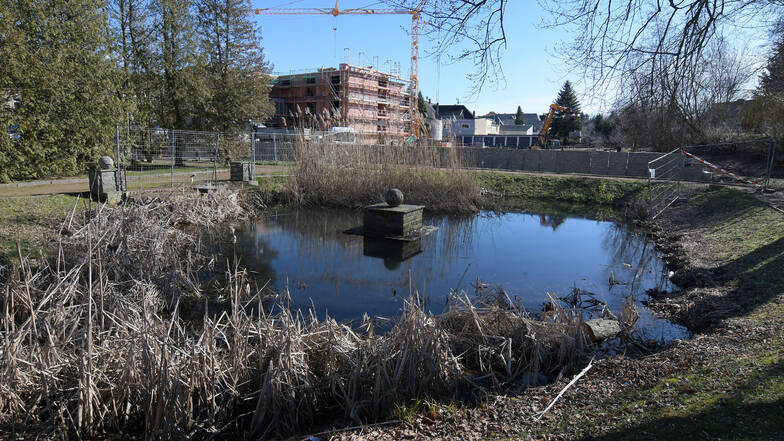 Der Teich inmitten des Harthaer Stadtparks soll vollständig erneuert werden. Derzeit ist er noch sehr verwachsen.