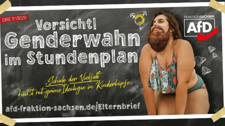 Auf einem Plakat der AfD ist eine Frau mit Bart abgebildet.