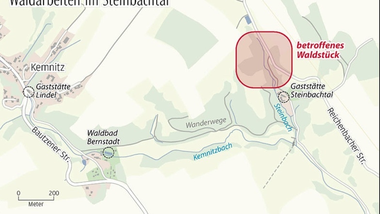 Im Waldstück oberhalb der Gaststätte Steinbachtal muss Schadholz geschlagen werden.