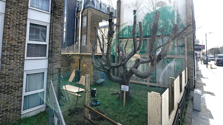 Neben dem Banksy-Kunstwerk an der Seite eines Wohnhauses in der Hornsey Road in Finsbury Park im Norden Londons, das zum Schutz mit einer Plexiglasscheibe abgedeckt wurde, wird eine Holzwand angebracht.