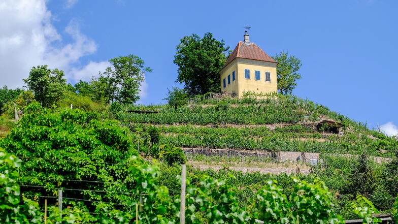 Blick auf das Minckwitzche Weinberghaus in Radebeul. Die Winzer in Sachsen erwarten nach der nun abgeschlossenen Weinlese einen guten Jahrgang - trotz teils widriger Bedingungen.