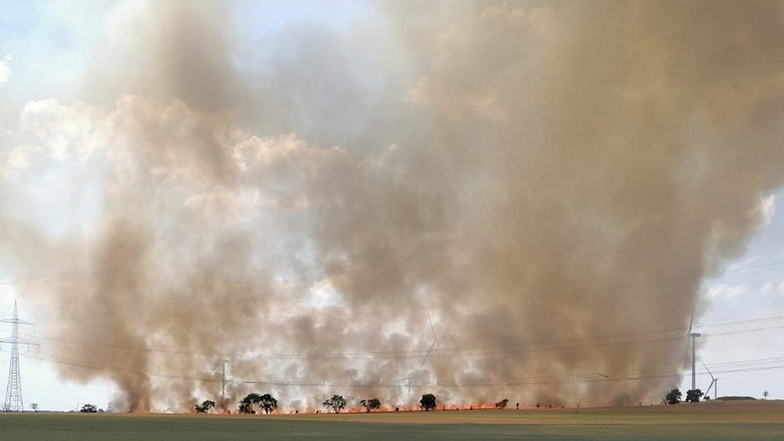 Die Feuerwehren werden in diesem Jahr immer wieder zu Flächenbränden alarmiert, wie Ende Juni in Salbitz. Dort standen vier Hektar Feld in Flammen.