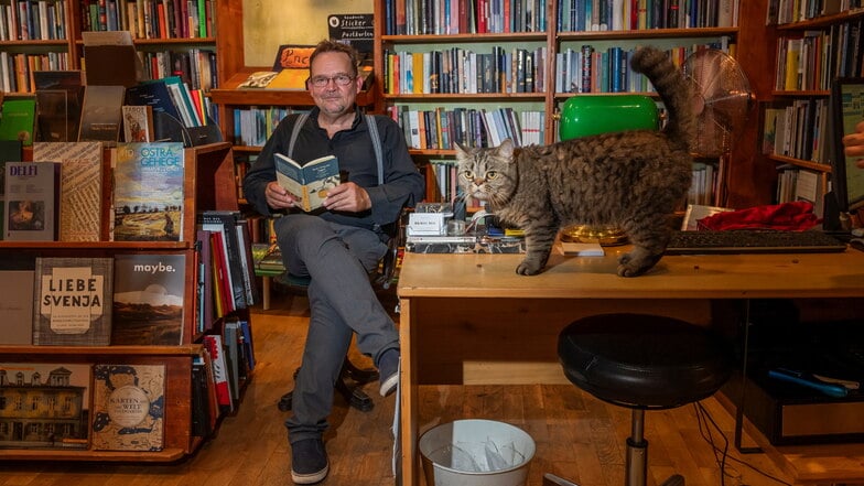 Büchers Best in Dresden-Neustadt: Hier gehört eine Katze mit zum Inventar