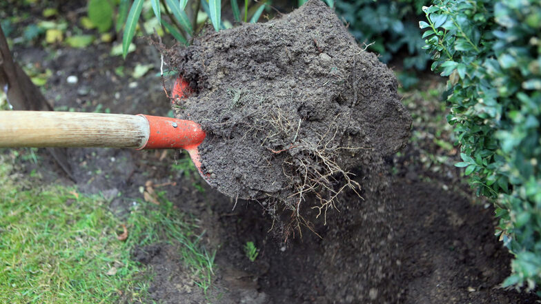 Sollen die Pflanzen im Garten gut gedeihen, muss der Boden gepflegt und mit Nährstoffen versorgt werden.