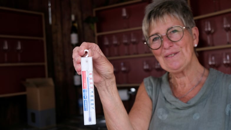 35 Grad Celsius waren es im Weinpavillon. Siglinde Lässig blieb tapfer.