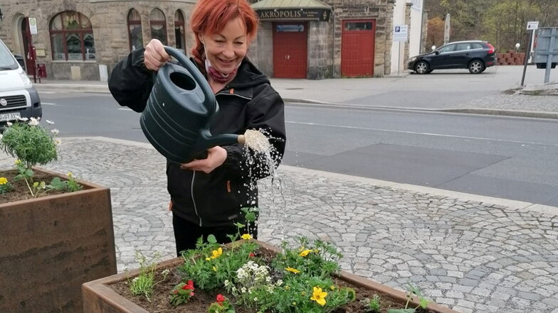 Stadträtin Claudia Mihály-Anastasio gießt die frisch gepflanzten Blumen.