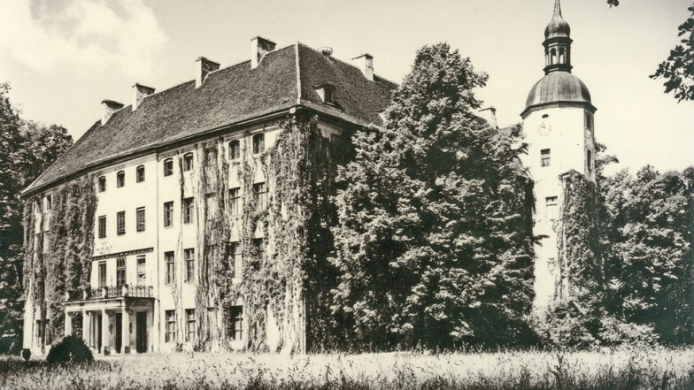 Aus der ehemaligen Turmburg entwickelte sich im Lauf der Jahre ein herrschaftliches Schloss. In den Besitz der Familie Lippe-Weißenfeld gelangte es im Jahr 1808.