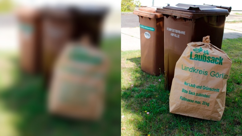 Städte und Gemeinden bieten spezielle Garten-Abfall-Säcke an. Die werden auch mitgenommen.