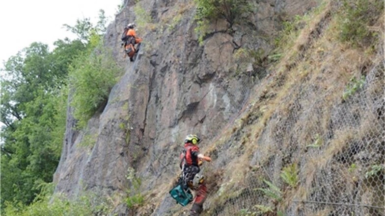 Der Hang ist beräumt: Wenn die Kletterer fertig sind, ist der Fels frei von störendem Bewuchs und die Züge können wieder sicher fahren.