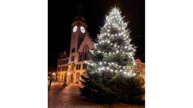 Der Waldheimer Weihnachtsbaum ist dieses Jahr ein besonders schmuckes Exemplar. Dass die Lichter erst ab einer Höhe von zwei Metern leuchten, hat einen Grund.
