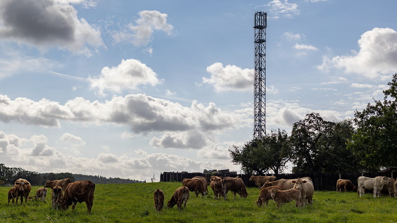 Auch Telefónica baut sein 5G-Netz aus. Einer der ersten Masten in der Region wurde im Freitaler Ortsteil Wurgwitz errichtet.
