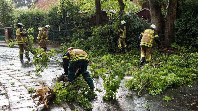 Feuerwehrleute räumen in Wentorf bei Hamburg Teile eines auf die Straße gefallenen Baumes beiseite.