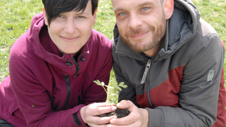 Ihre Liebe zur Pflanze brachte Nadin Fliegner
und Sebastian Veit
zueinander.
Gemeinsam wollen sich die Dresdner aus klitzekleinen Samen etwas Großes aufbauen.